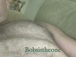 Bobsistheone