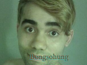 Bongsohung