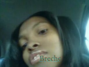 Breche