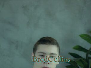 BredCollins