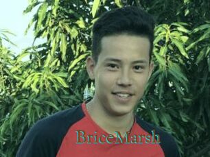 BriceMarsh