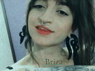 Briza