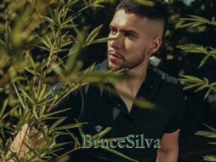 BruceSilva