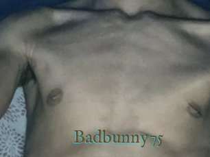 Badbunny75