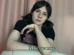 Battywatts