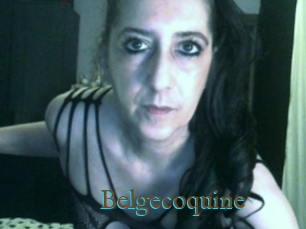 Belgecoquine