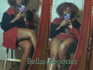 Bellarosepotter