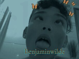 Benjaminwilde