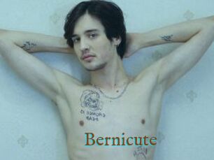 Bernicute