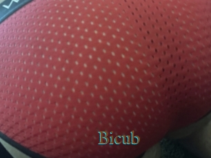 Bicub