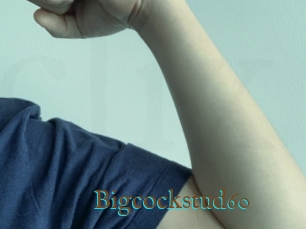 Bigcockstud60