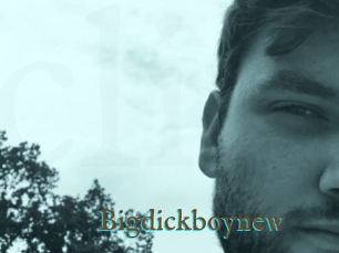 Bigdickboynew