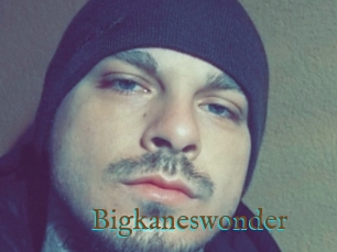 Bigkaneswonder