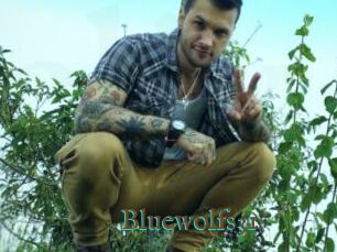 Bluewolfs31