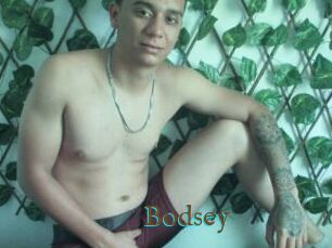 Bodsey