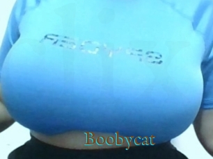 Boobycat