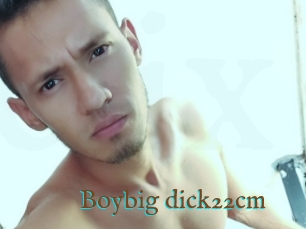 Boybig_dick22cm