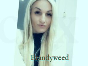 Brandyweed