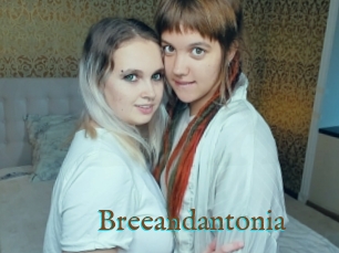 Breeandantonia