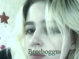 Breeboggus