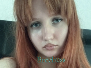 Breebuss