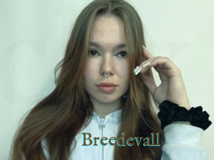 Breedevall