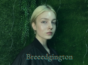 Breeedgington