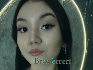 Breeferrett