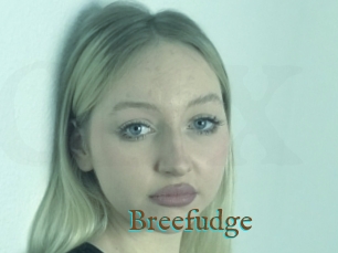 Breefudge