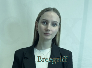 Breegriff