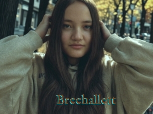 Breehallett