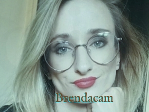 Brendacam