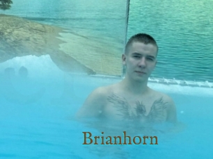 Brianhorn