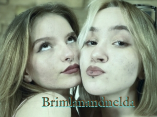 Brimlanandnelda