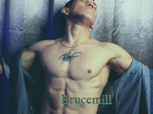 Brucemill