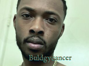 Buldgycancer