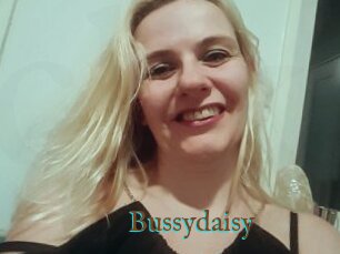 Bussydaisy