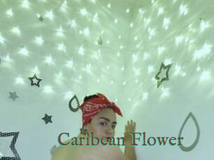 Caribean_Flower