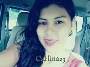 Carlina23