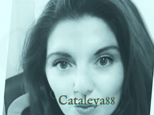 Cataleya88