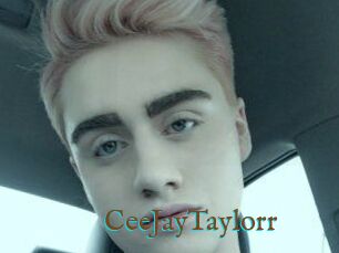 CeeJayTaylorr