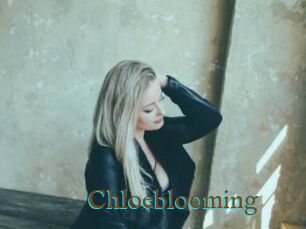 Chloeblooming