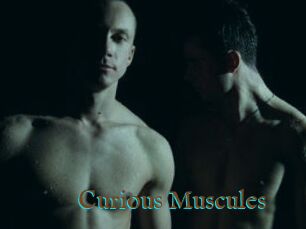 Curious_Muscules