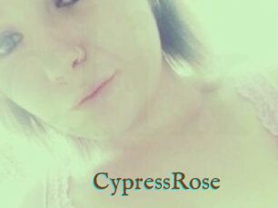 Cypress_Rose