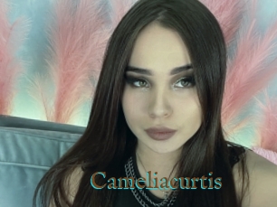 Cameliacurtis