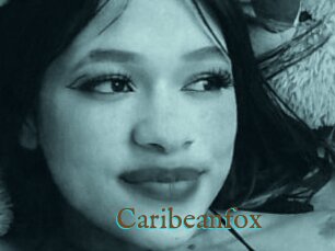 Caribeanfox