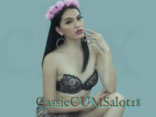 CassieCUMSalot18