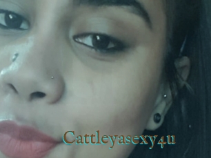 Cattleyasexy4u