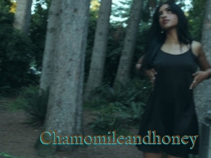 Chamomileandhoney