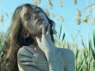 Cherrywipe